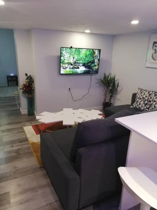 Cozy Nest Basement Unit Apartman Hamilton Kültér fotó